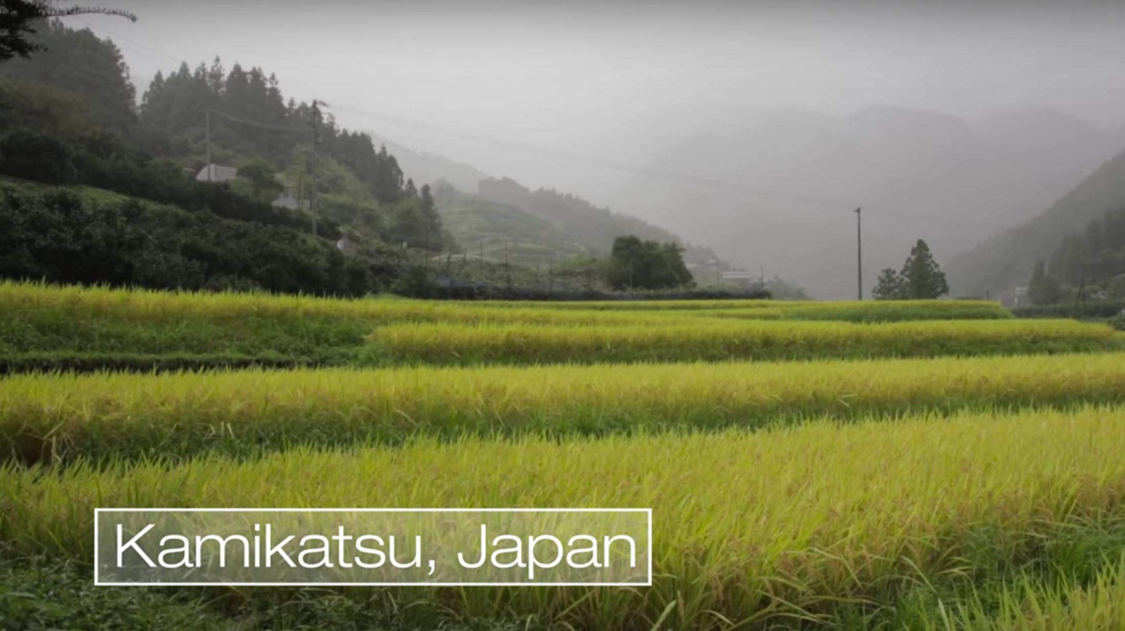 【行销】朝向「零废弃物」城镇迈进:日本上胜町的垃圾分类
